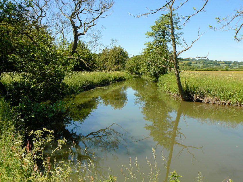 River Amber River Amber